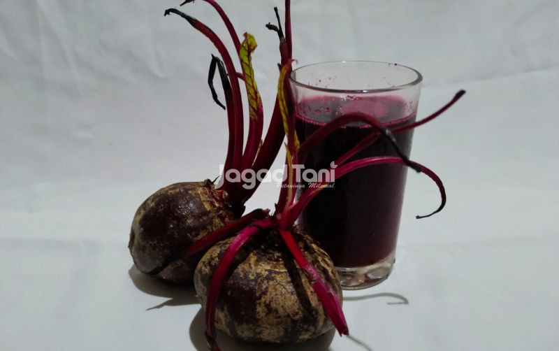 uploads/news/2026/01/jus-buah-bit-minuman-951179b9c836f0a.jpeg