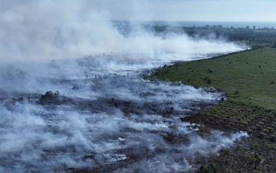 uploads/news/2026/01/karhutla-aceh-barat-meluas-4819767d6e9a294_400.jpeg