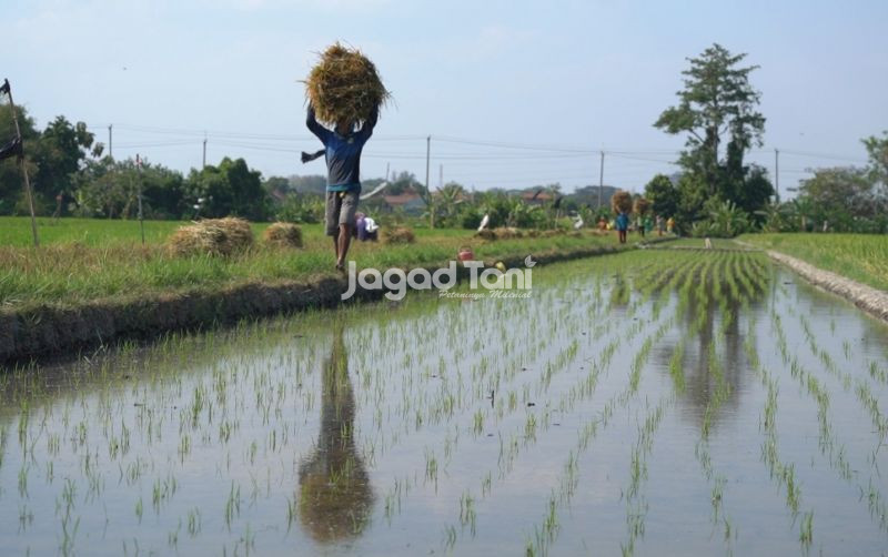 uploads/news/2026/01/kolaborasi-unand-dan-mentawai-138247263c248f8.jpeg