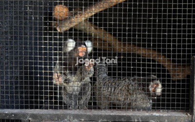 uploads/news/2026/01/komitmen-yang-harus-dijaga-71081c241a4e092_400.jpeg
