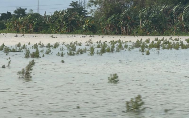 uploads/news/2026/01/lahan-pertanian-pati-grobogan--551055d9f67c0ef.jpg