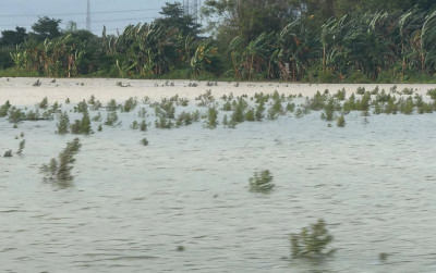 uploads/news/2026/01/lahan-pertanian-pati-grobogan--551055d9f67c0ef_400.jpg