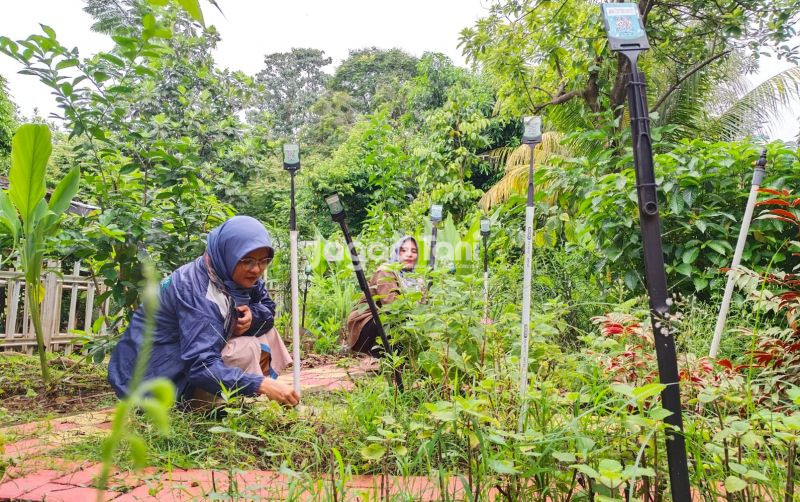 uploads/news/2026/01/mina-tani-lestari-kembangkan-485750975a41ac4.jpeg