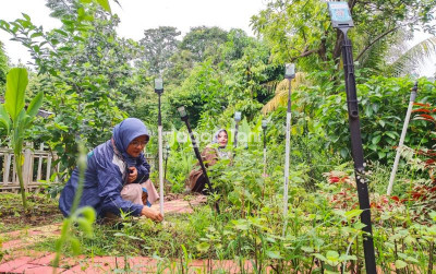 uploads/news/2026/01/mina-tani-lestari-kembangkan-485750975a41ac4_400.jpeg