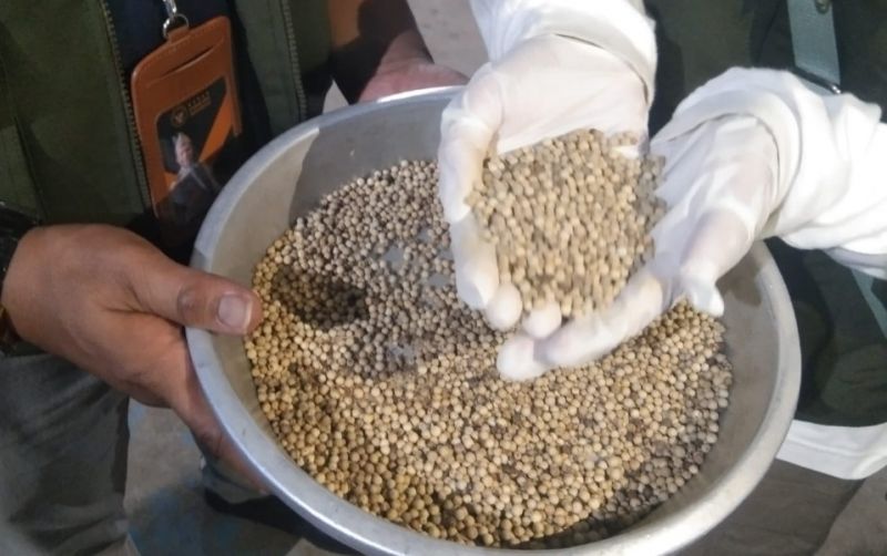 uploads/news/2026/01/muntok-white-pepper-andalan-658271df9fe15e7.jpg