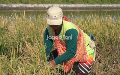 uploads/news/2026/01/naik-203-segini-stok-329887ea366372b_400.jpeg