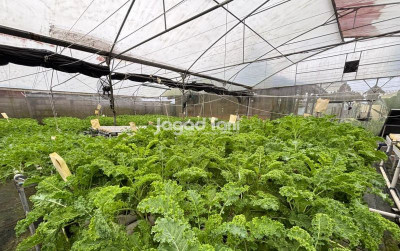 uploads/news/2026/01/otomatisasi-iot-permudah-smart-307843b15f497dd_400.jpeg