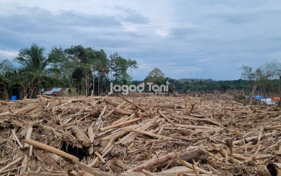 uploads/news/2026/01/pemulihan-sektor-pertanian-pascabencana-46986e94b6d85f9_400.jpeg