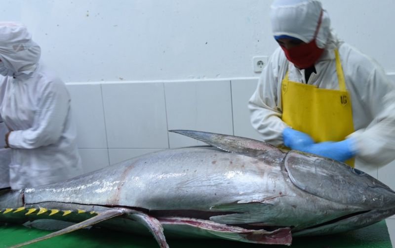 uploads/news/2026/01/perubahan-tarif-ijefa-berpeluang-498678f61dbf7ab.jpg