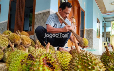 uploads/news/2026/01/petani-durian-bogor-ungkap-615083048b0d80b_400.jpeg