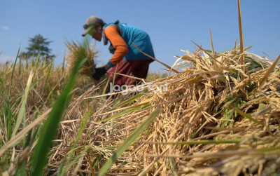 uploads/news/2026/01/petani-lebak-waspada-banjir-43826b32af58195_400.jpeg