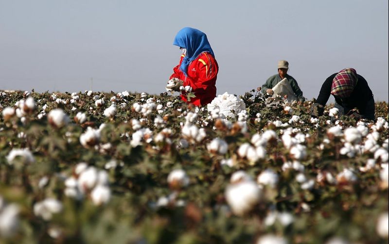 uploads/news/2026/01/produk-impor-tenunan-dari-29915f45c576cb2.jpg