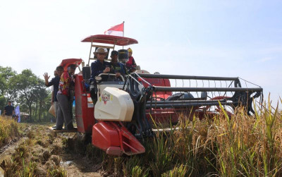uploads/news/2026/01/produksi-padi-ntb-dukung-92673d7fd326386_400.jpeg