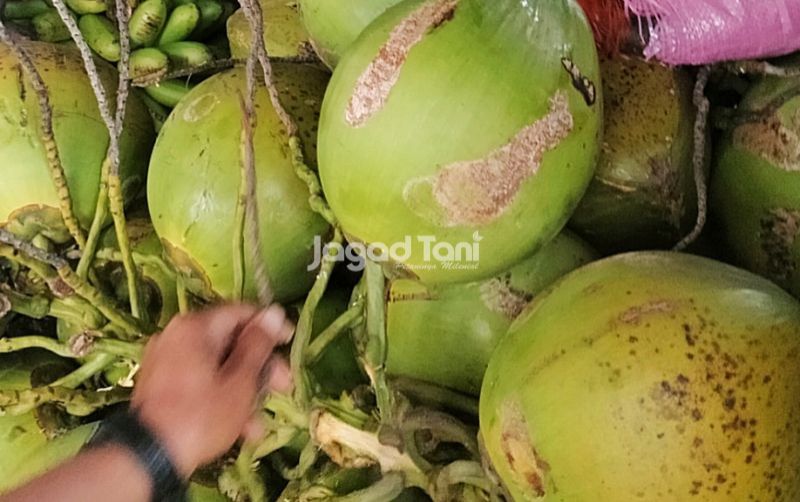uploads/news/2026/01/ramadan-mendekat-pemerintah-tetap-31157c5b480b9f6.jpg