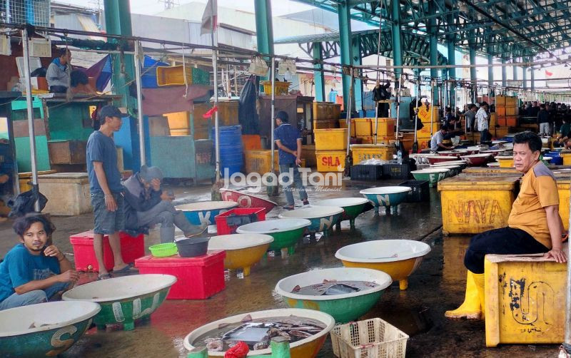 uploads/news/2026/01/sepanjang-2025-ekspor-perikanan-790355a95cd5d53.jpg