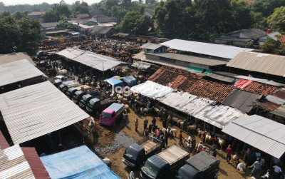uploads/news/2026/02/antisipasi-kenaikan-harga-daging-995149ffa5f27d3_400.jpeg