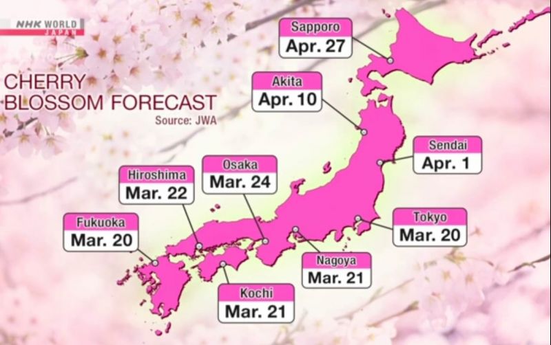 uploads/news/2026/02/berliburan-ke-jepang-ini-29432085e209ff1.jpeg