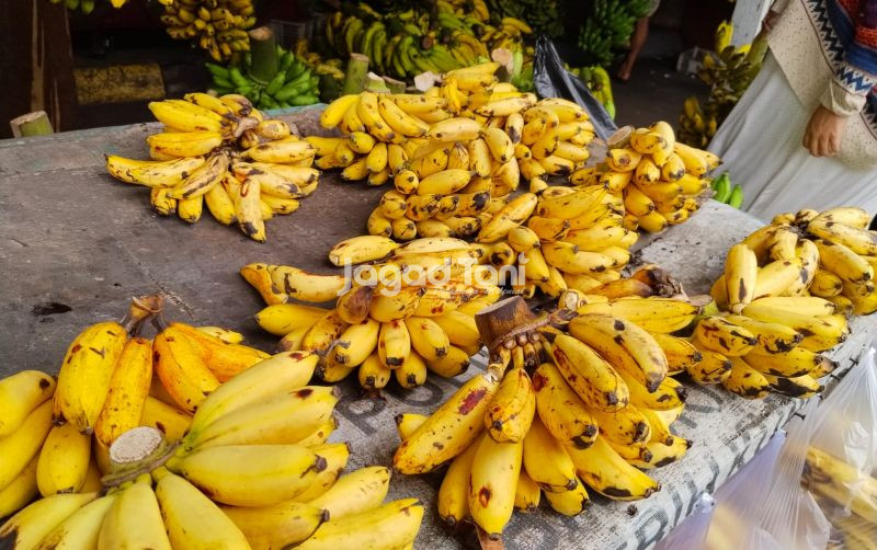 uploads/news/2026/02/buah-yang-baik-untuk-37579a83750ee08.jpeg