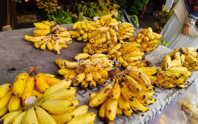 uploads/news/2026/02/buah-yang-baik-untuk-37579a83750ee08_400.jpeg