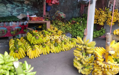 uploads/news/2026/02/empat-buah-yang-banyak-139573a9867200e_400.jpeg