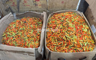 uploads/news/2026/02/harga-cabai-di-pulau-6136093817f59a3_400.jpeg