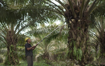 uploads/news/2026/02/jadi-miracle-crop-hilirisasi-5311866c85a5671_400.jpg