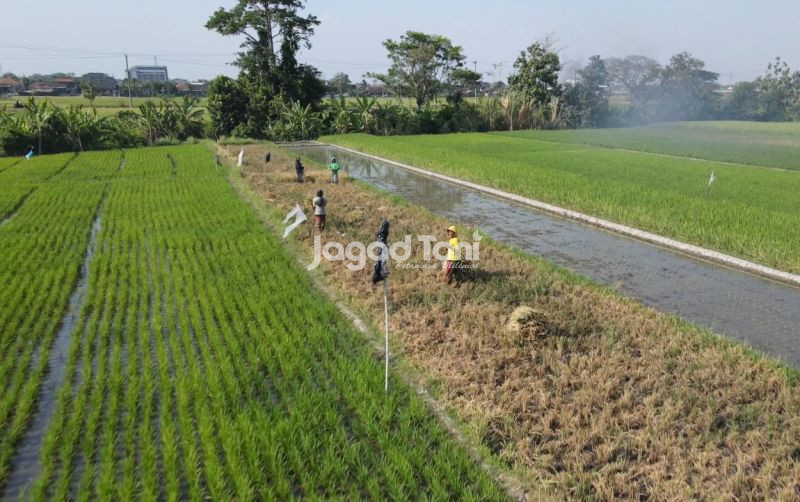 uploads/news/2026/02/jawab-tantangan-pertanian-polisi-24405f8c7037a3f.jpeg