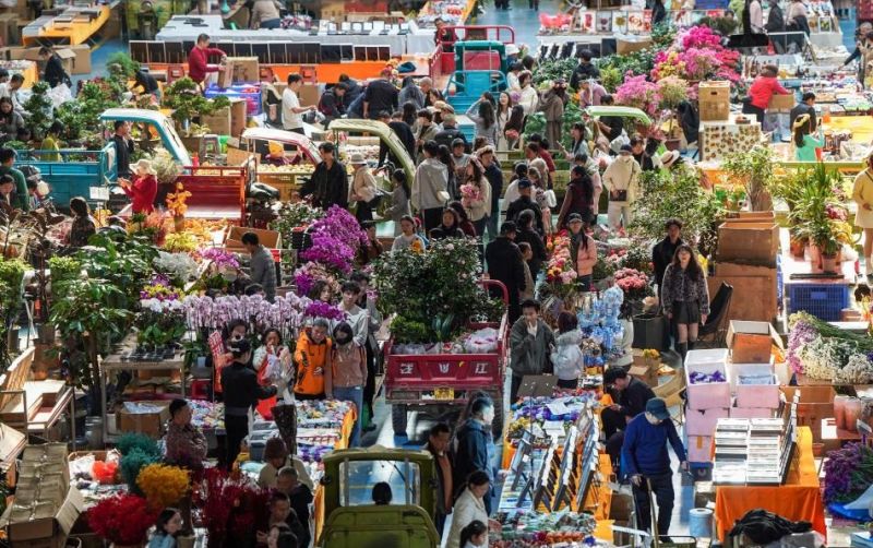 uploads/news/2026/02/jelang-festival-musim-semi--5084496d79a7cfe.jpg