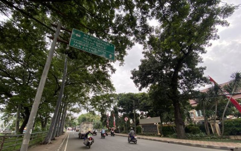 uploads/news/2026/02/jenis-pohon-tempat-syuting-5243329c463cf3b.jpeg