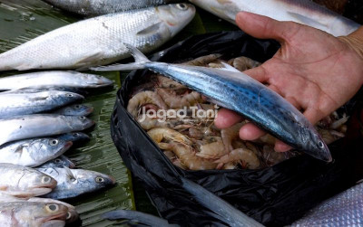 uploads/news/2026/02/jika-ditemukan-ikan-berformalin--63271fafb913adc_400.jpeg