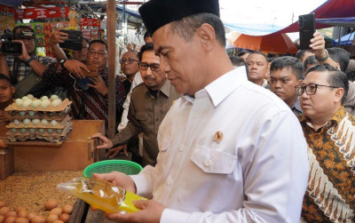 uploads/news/2026/02/kasus-minyakita-perusahaan-pelanggar-22374ce29b0997b_400.jpeg