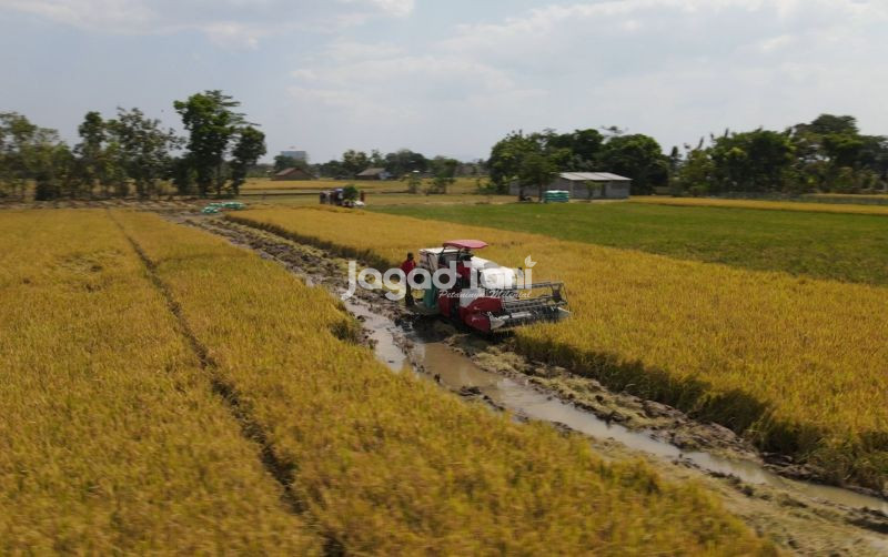uploads/news/2026/02/komitmen-stop-impor-pemerintah-86099a58ba3bc9e.jpeg