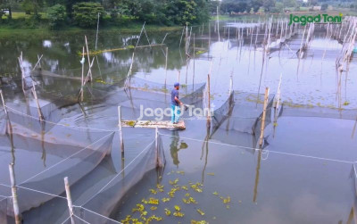 uploads/news/2026/02/menjemput-rezeki-dari-tenangnya-82116e66ccc4511_400.jpeg