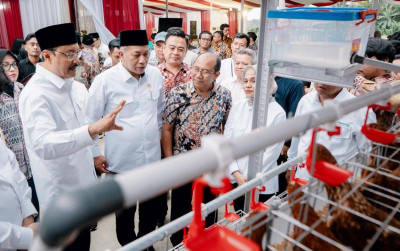 uploads/news/2026/02/paket-ayam-petelur-dorong-885089e044ea0ed_400.jpeg