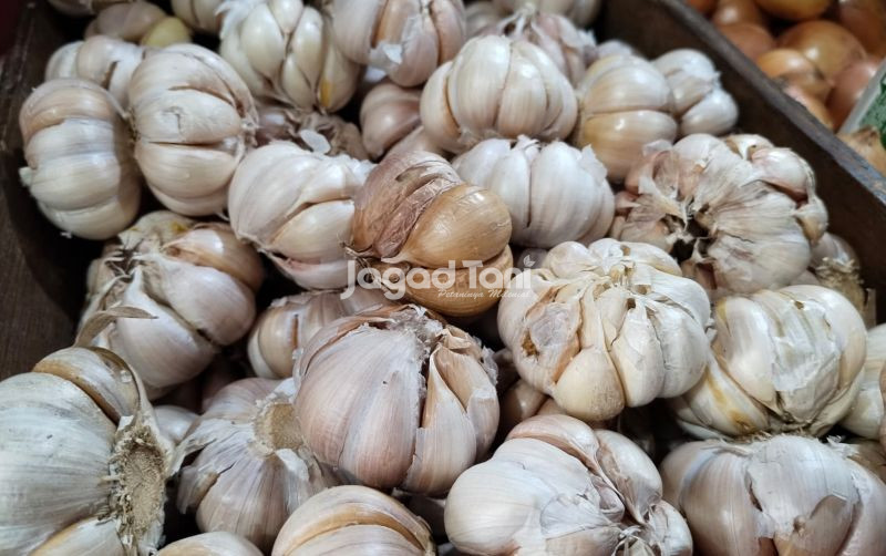 uploads/news/2026/02/pantau-harga-bawang-putih-91551ac57362531.jpeg