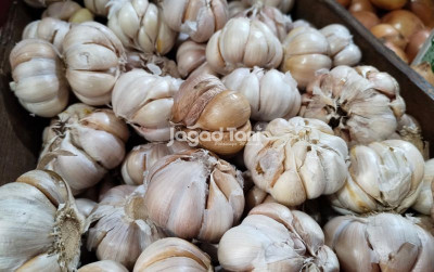 uploads/news/2026/02/pantau-harga-bawang-putih-91551ac57362531_400.jpeg