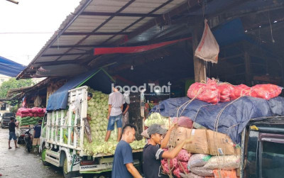uploads/news/2026/02/pantauan-harga-hortikultura-pasar-6078134cdeee543_400.jpeg