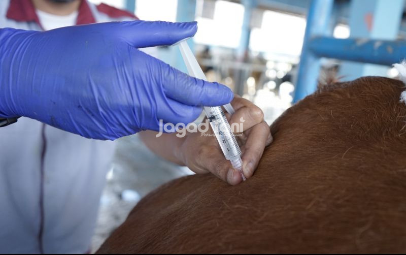 uploads/news/2026/02/pmk-merebak-1200-ternak-1690339ea57b74c.jpeg