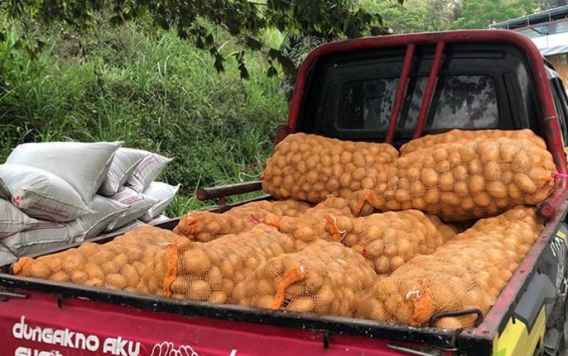 uploads/news/2026/02/produksi-kentang-kerinci-alami-43443fe8f96d3d6.jpg