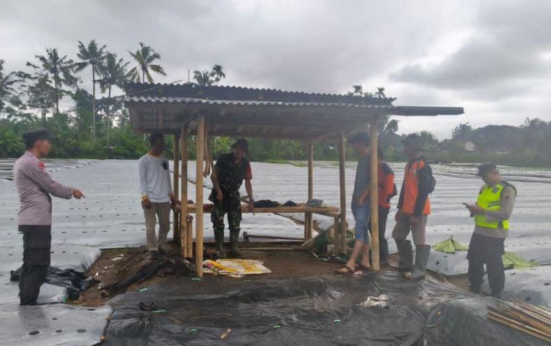 uploads/news/2026/02/sambaran-petir-tewaskan-buruh-9050675c9a97a2b.jpg