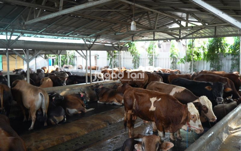 uploads/news/2026/02/sambut-ramadan-aceh-tamiang-76961e8c82a447d.jpeg