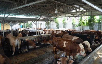 uploads/news/2026/02/sambut-ramadan-aceh-tamiang-76961e8c82a447d_400.jpeg