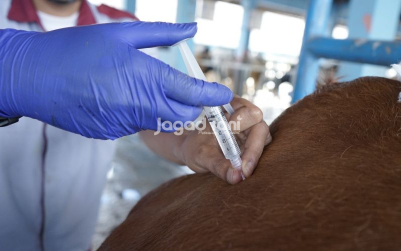 uploads/news/2026/02/tangani-pmk-151-000-dosis-14528a8c8353202.jpeg