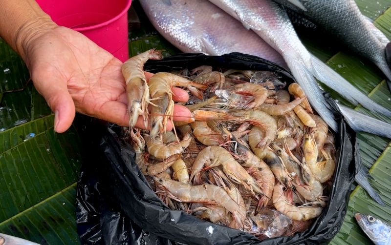 uploads/news/2026/02/udang-krosok-andalannya-udang-409202e84c27459.jpeg