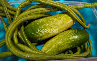 uploads/news/2026/03/7-jenis-sayur-lalapan-18037bc612f3d3d_400.jpg