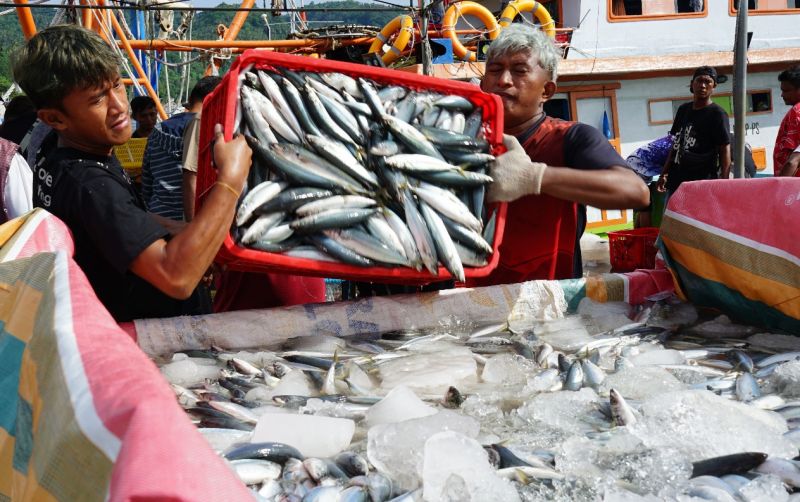 uploads/news/2026/03/ikan-impor-yang-masuk-8472108a715b4ea.jpg