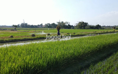 uploads/news/2026/03/jawa-barat-siapkan-langkah-197299ce777c338_400.jpeg