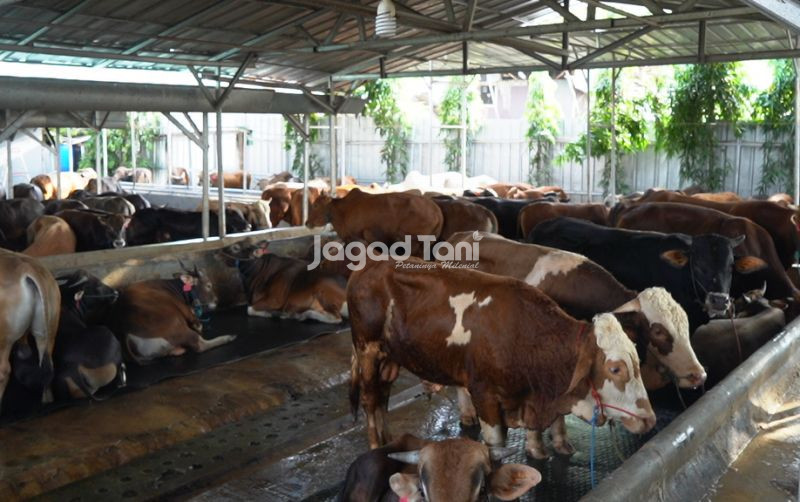 uploads/news/2026/03/kabupaten-simeulue-terima-bantuan-79146fb0d58820e.jpeg