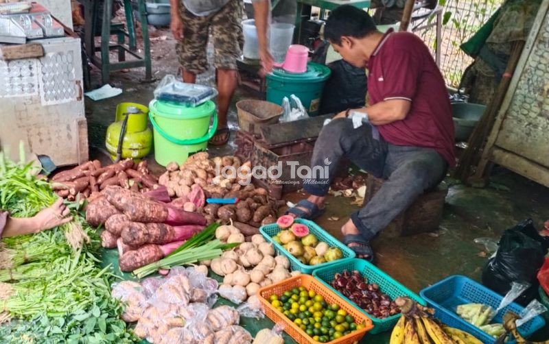 uploads/news/2026/03/komoditas-pangan-berbagai-daerah-45277b37cfd9f55.jpeg