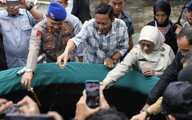 uploads/news/2026/03/minyak-cengkeh-untuk-lindungi-81912023214ee09.jpg